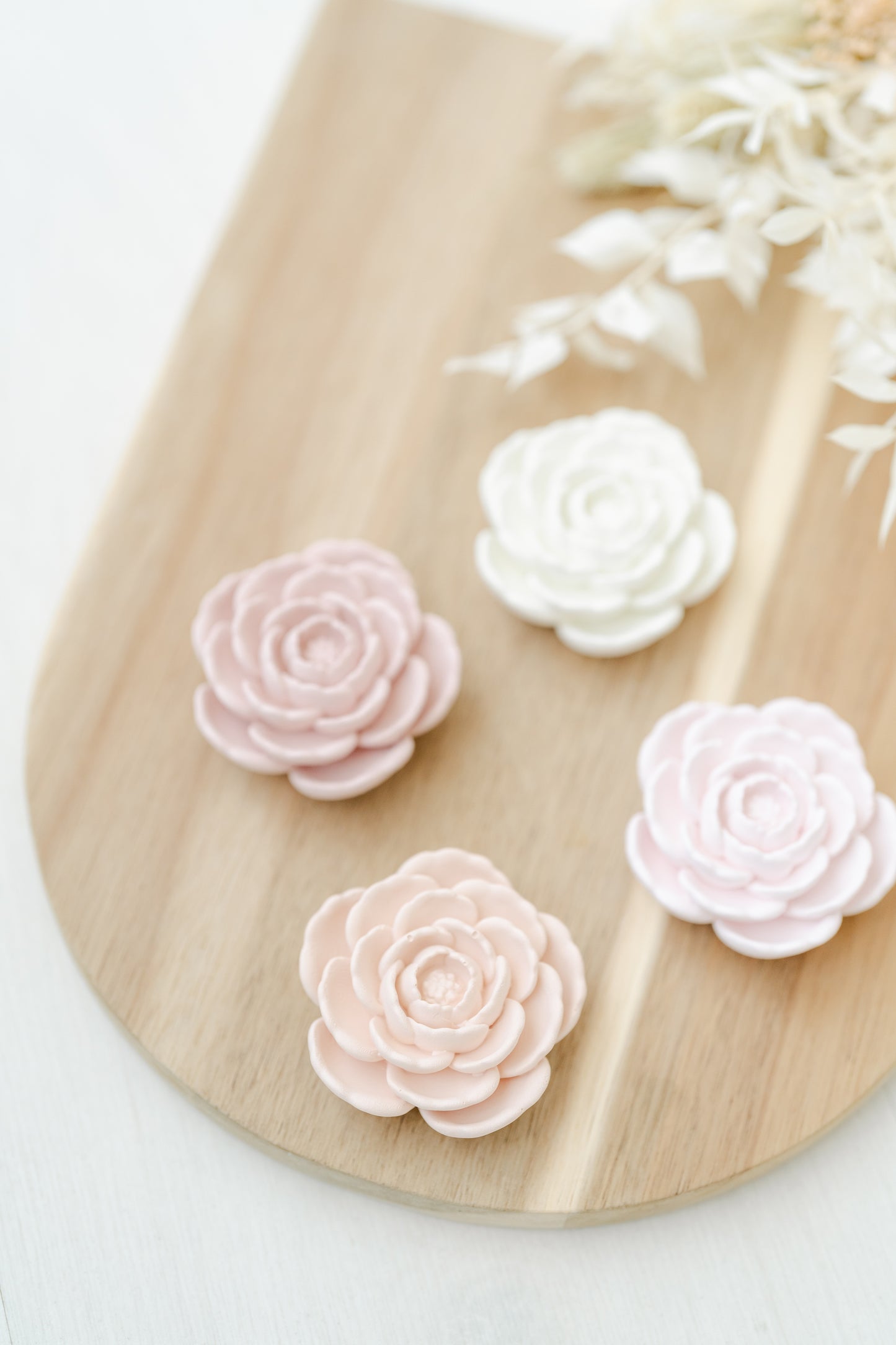 Camélia aberta média