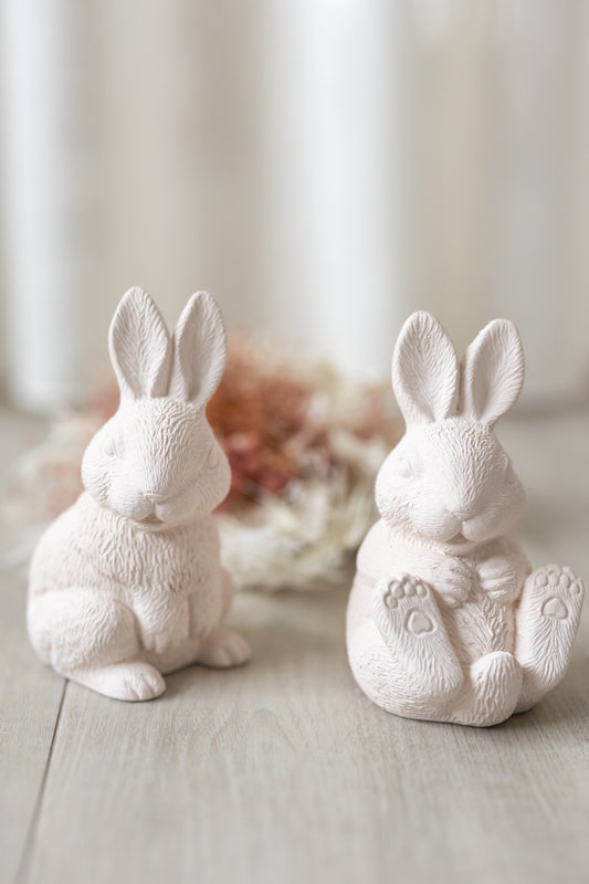 Coelho realista em pé