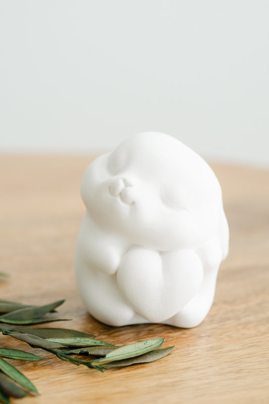 Coelho ternurento coração