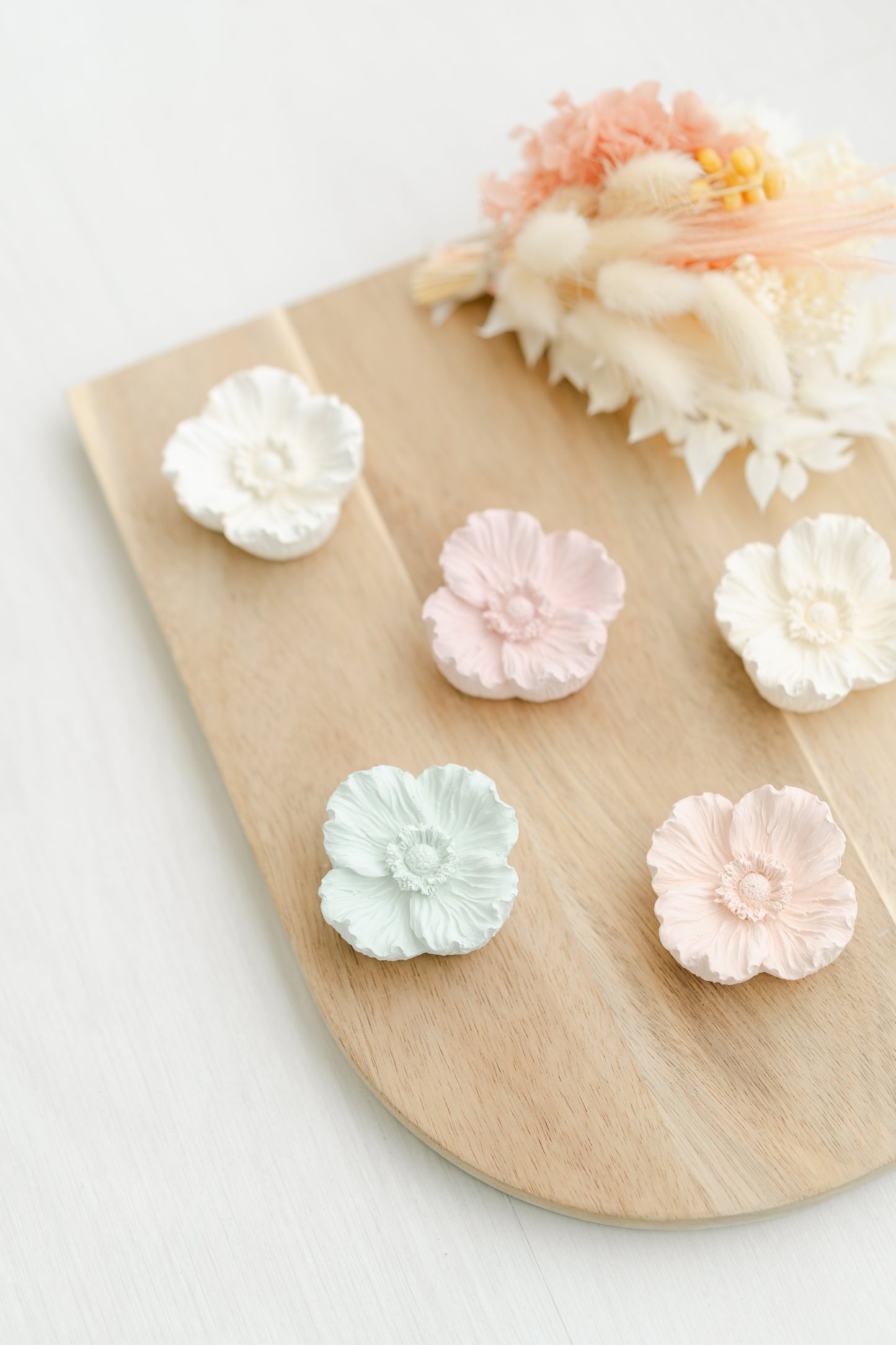 Papoila aberta baixa