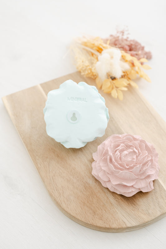 Peónia grande aberta L