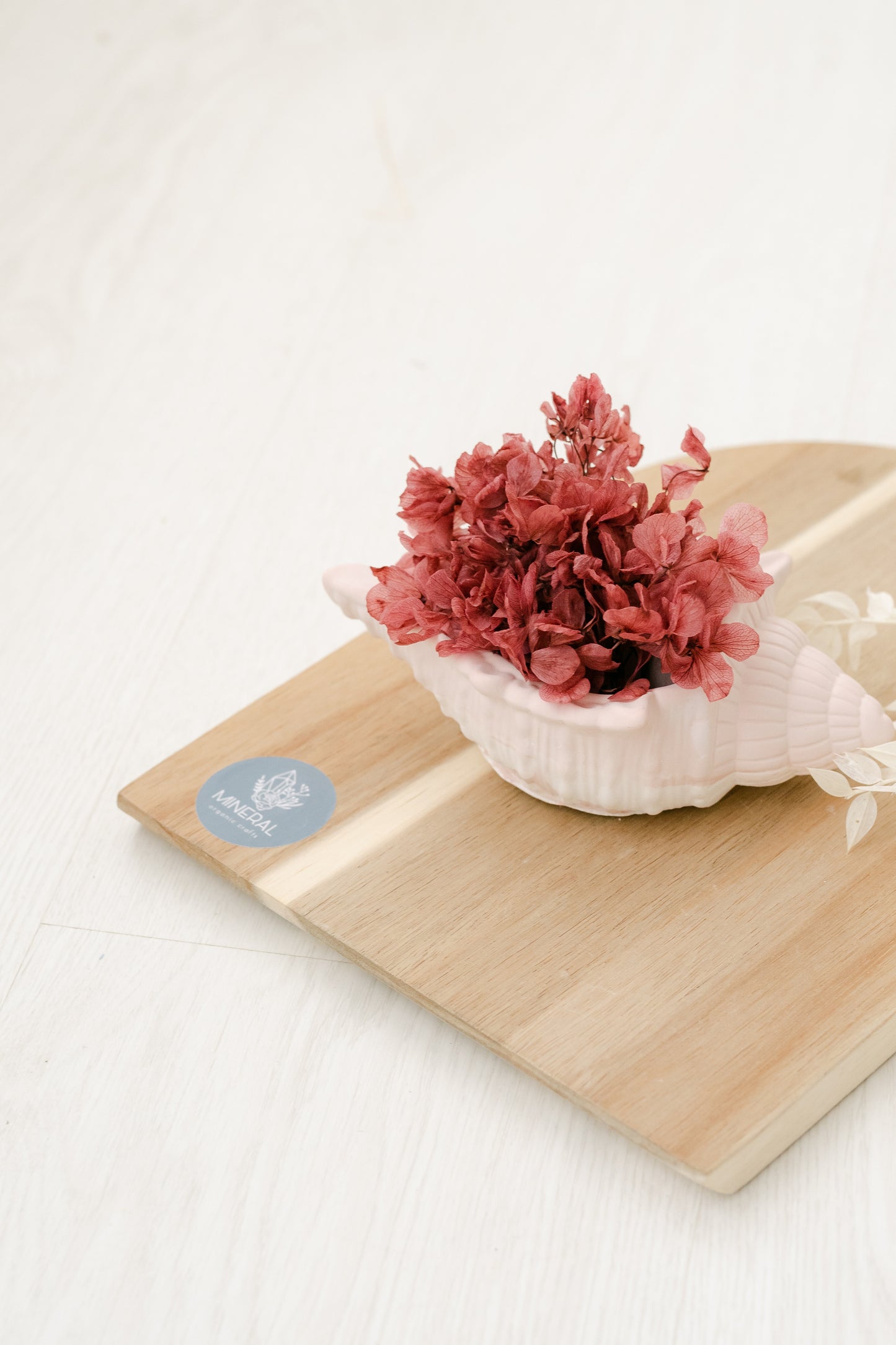 Búzio com flores