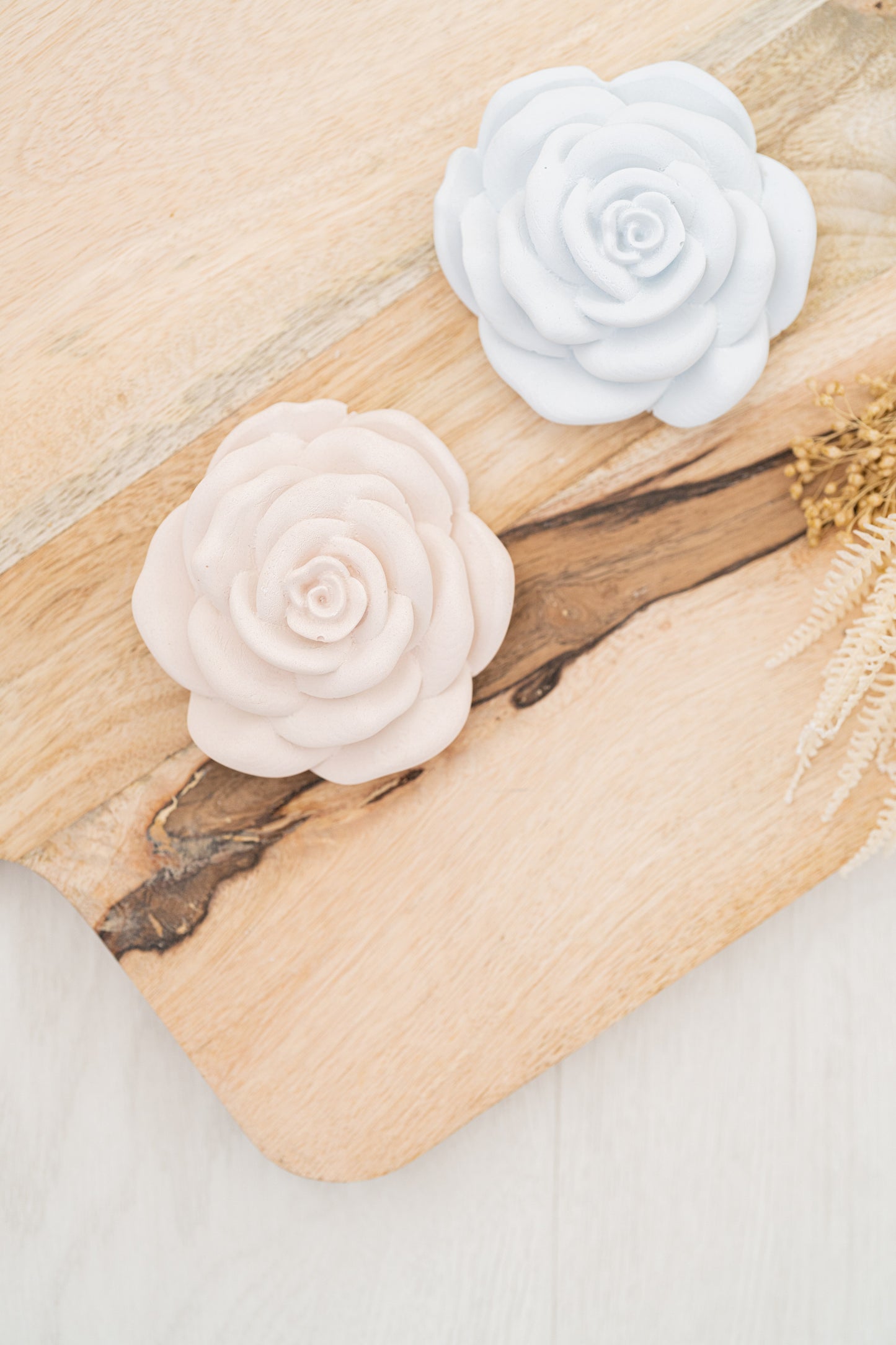 Rosa grande achatada