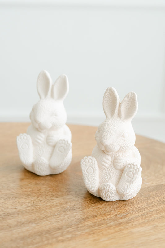 Coelho realista sentado