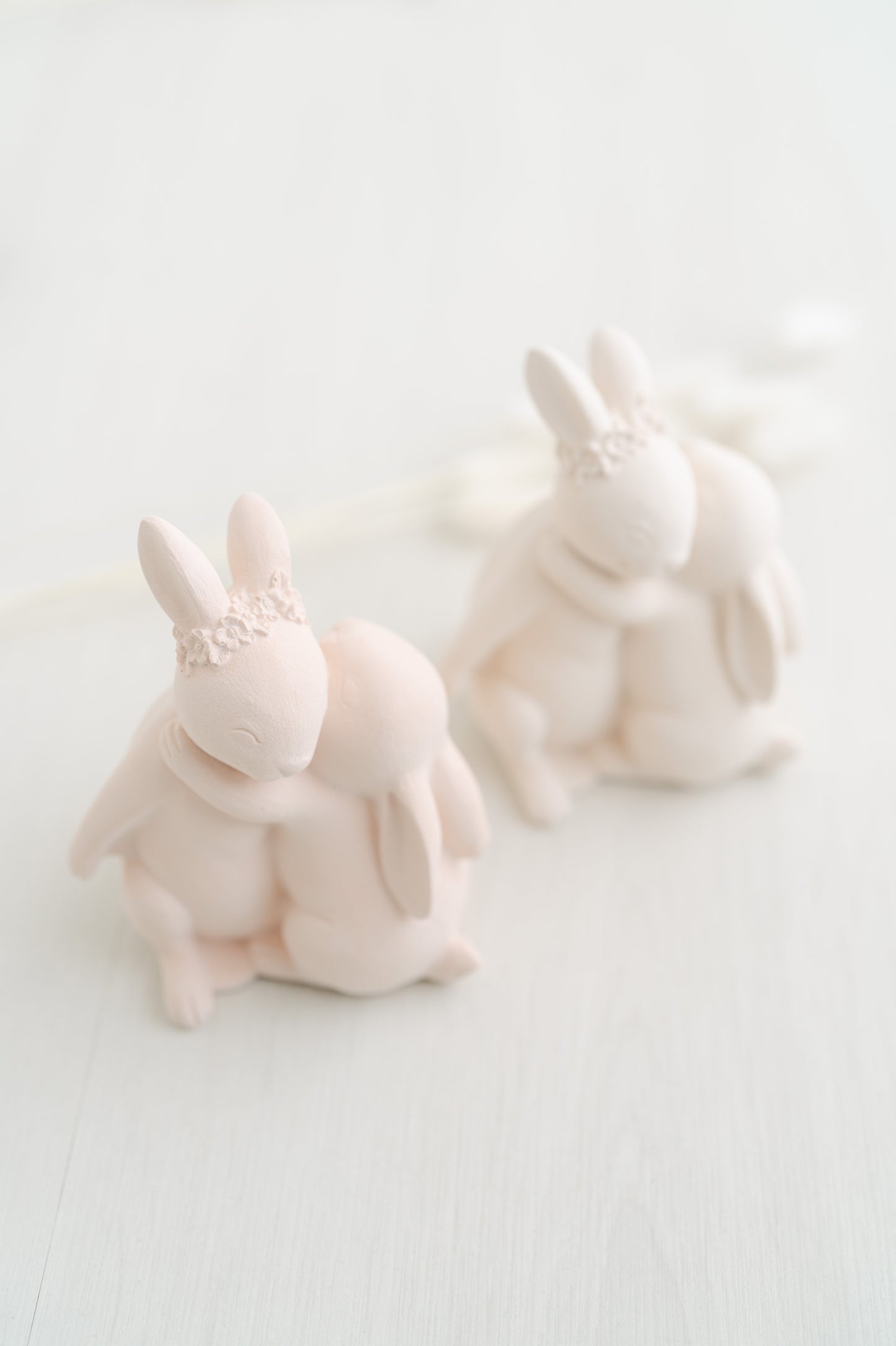 Coelhos a dar abraço