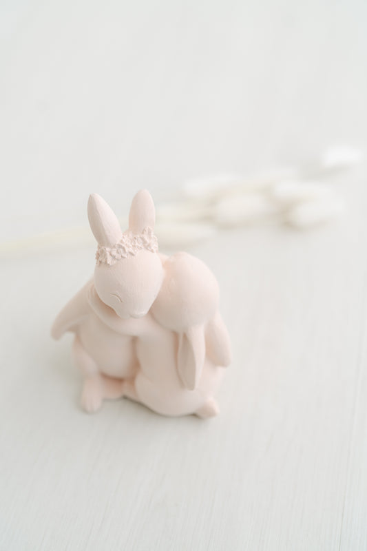 Coelhos a dar abraço