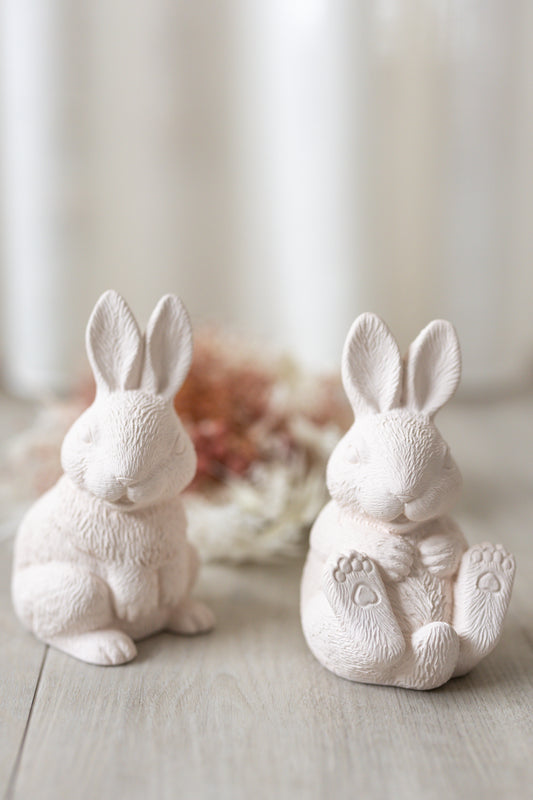 Coelho realista sentado