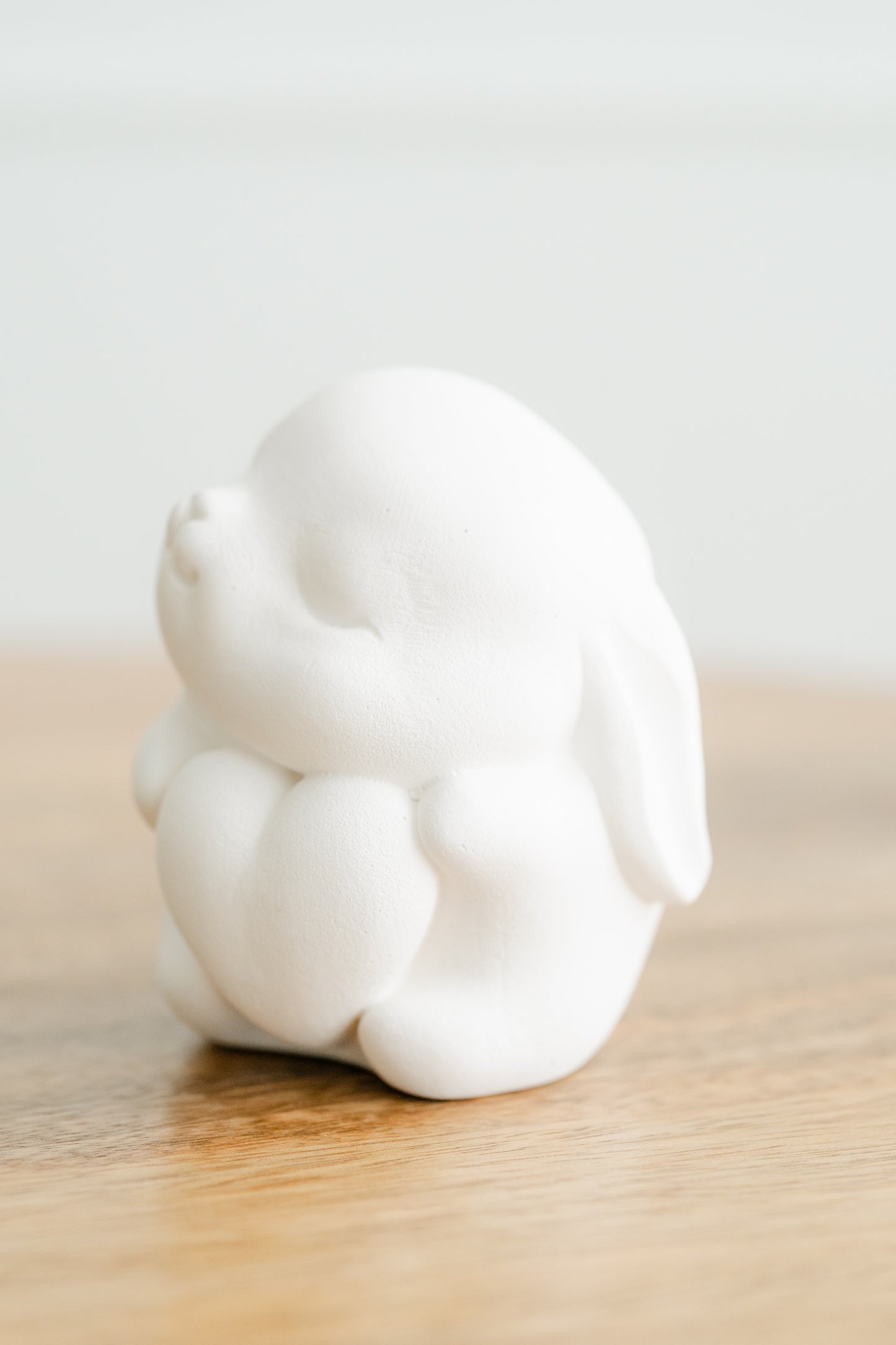 Coelho ternurento coração