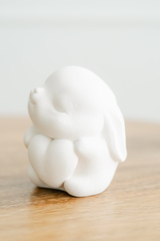 Coelho ternurento coração