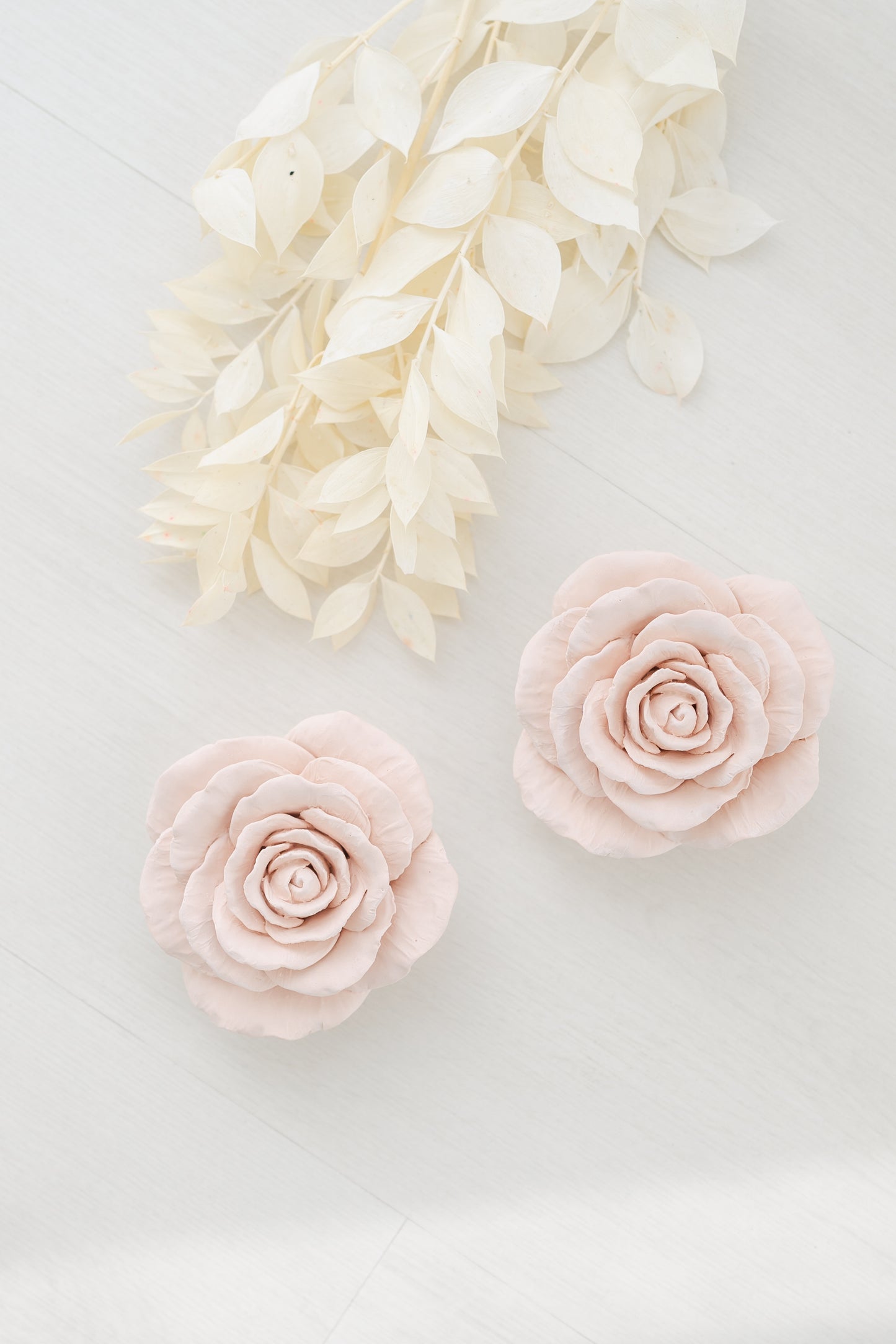 Rosa pétala arredondada