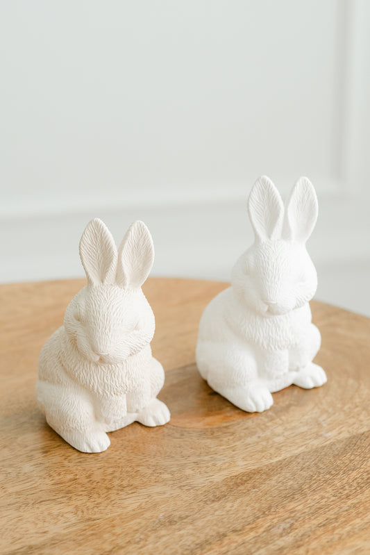 Coelho realista em pé